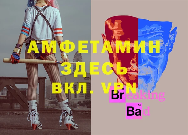 кокс Алексин