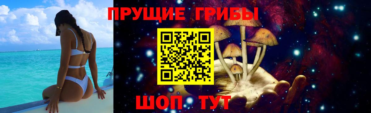Псилоцибиновые грибы мухоморы Новочеркасск