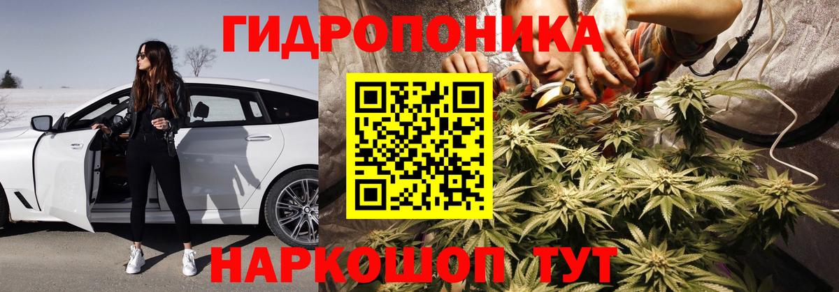 Каннабис планчик Новочеркасск